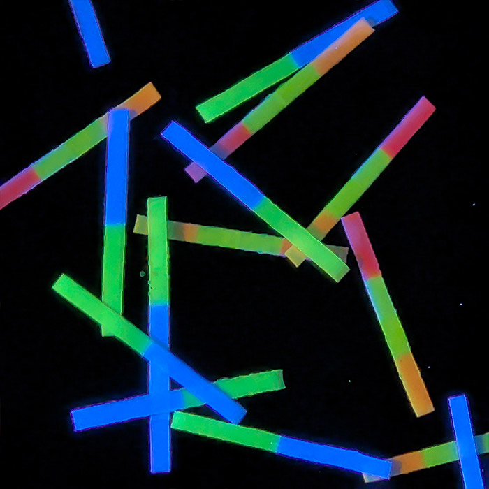 正反异色异段纤维