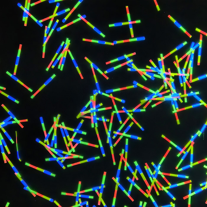 分(fēn)段纤维丝